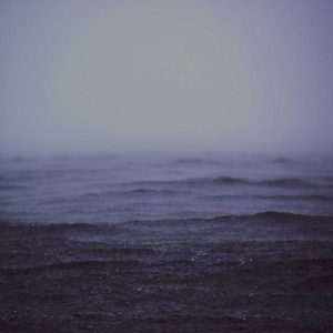 天然蜂蜜 洋槐蜜 纯野生无添加